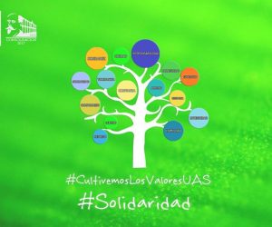 Valor de la Solidaridad