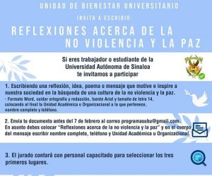 Reflexiones acerca de la No Violencia y La Paz